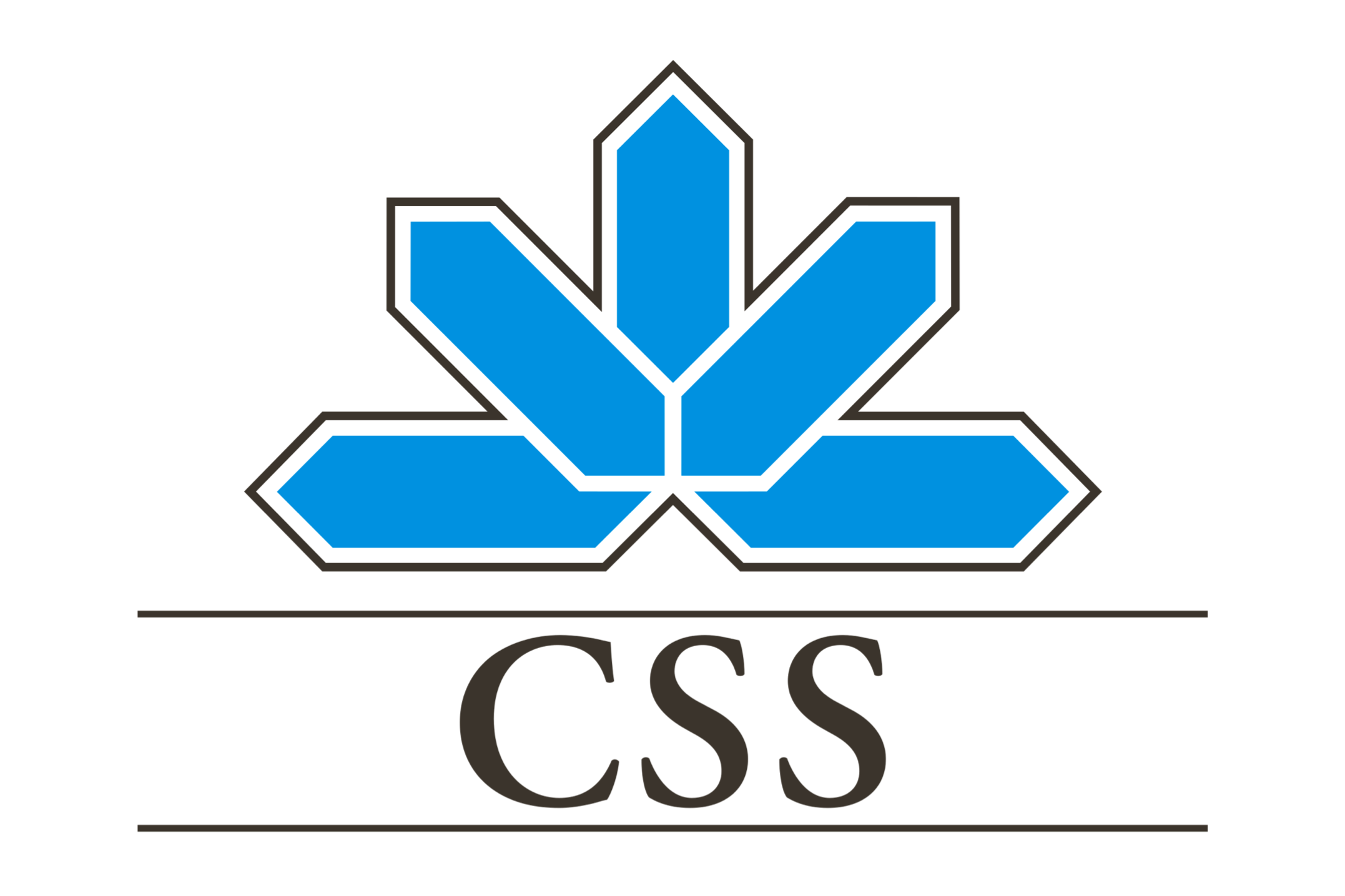 CSS
