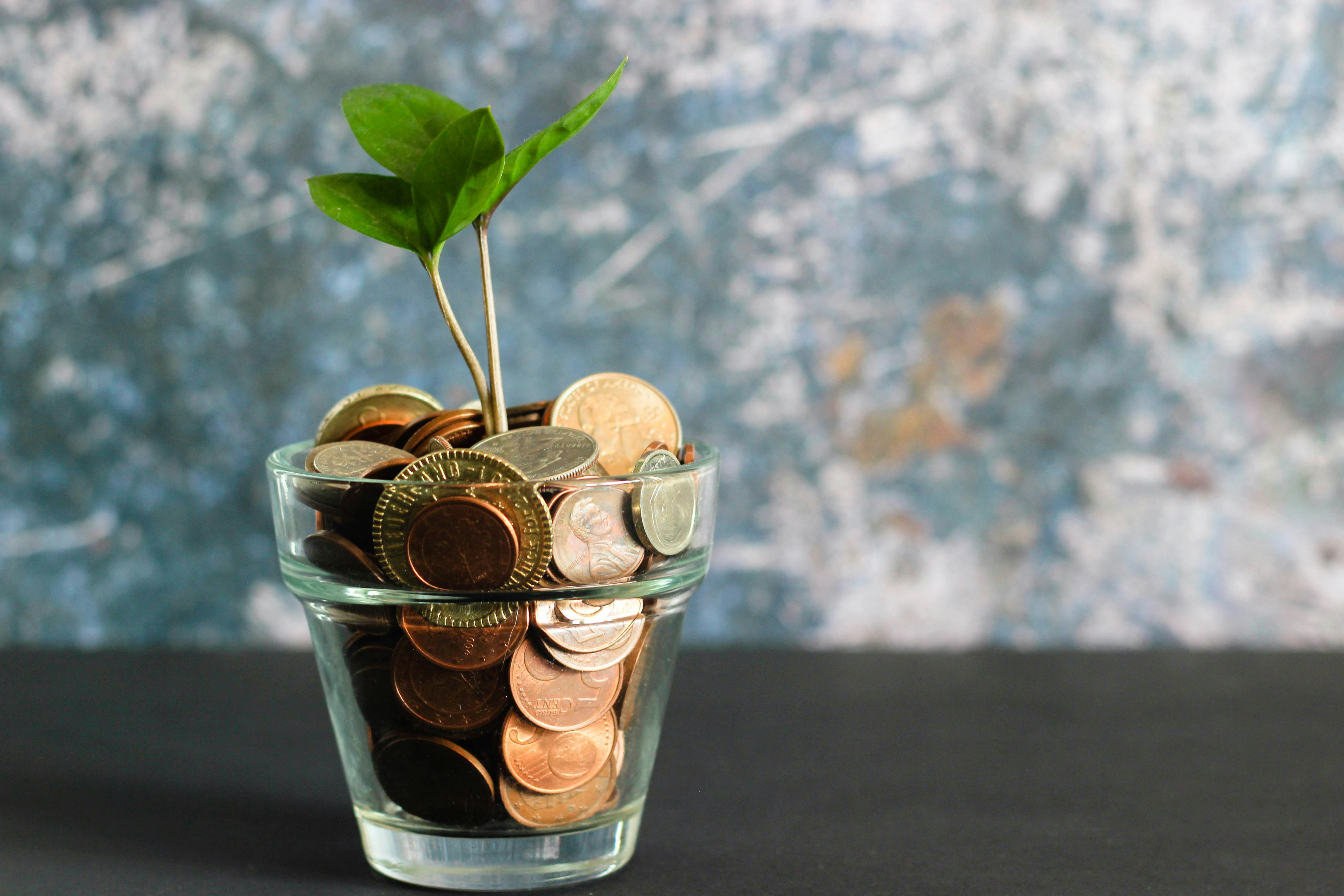 Investment – clever anlegen
